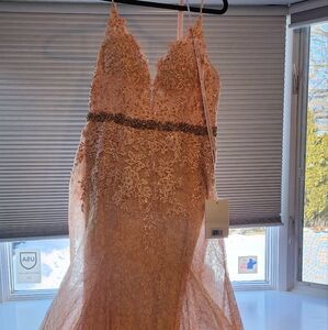 Elegant Lace Evening Gown in Peach-Mother of Bride